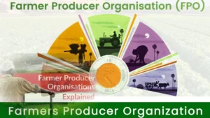 Farmer Producer Organizations